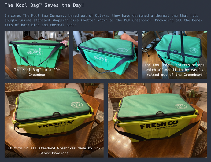 Awesome Review for the Kool Bag Shopper!