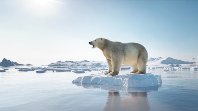 International Polar Bear Day - February 27