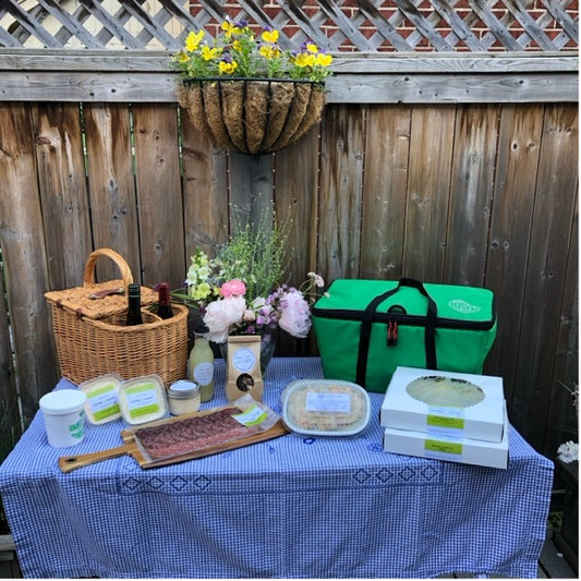 picnic with the kool bag.  insulated cooler bag.